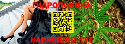 PSILOCYBIN Кулебаки