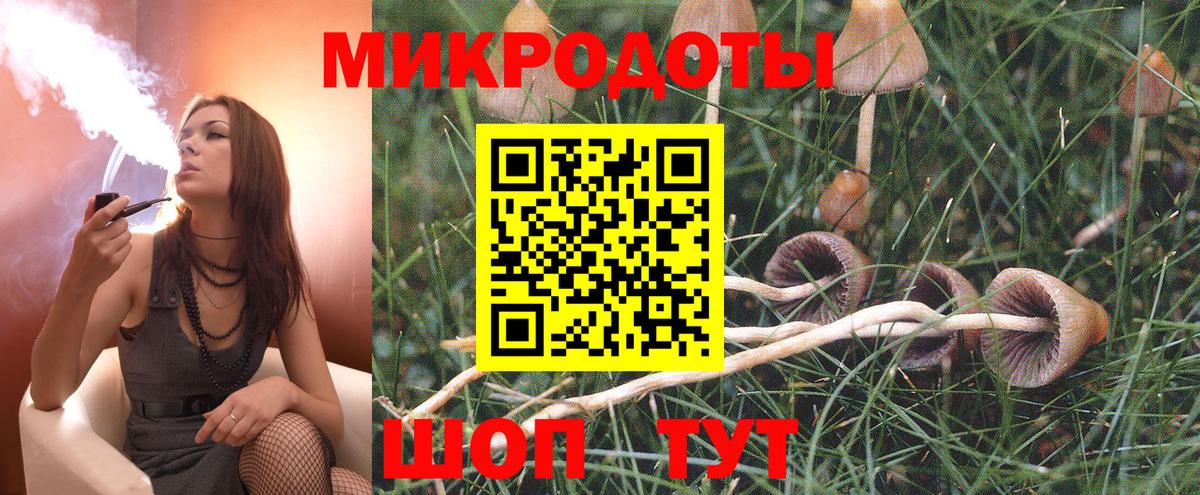 Псилоцибиновые грибы мицелий  Вход с VPN  наркотики  Зерноград 